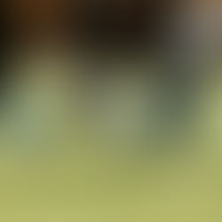 Italy all set: Torna il Polo a Punta Ala