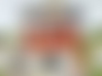 Gran 8° Luxemburgo Polo International, con Renaud Belouis como campeón!