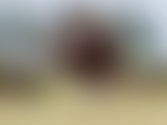 En Puesto Viejo culmina el Circuito Polo Sur 2