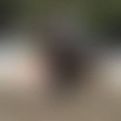 City Bell Arena Experience III: un nuevo éxito en la arena