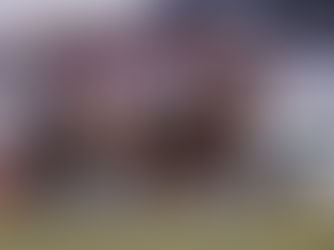 El día de las dos Irenitas