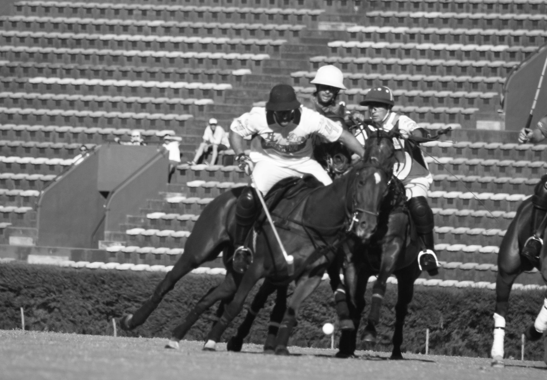 blancoynegropolopalermo