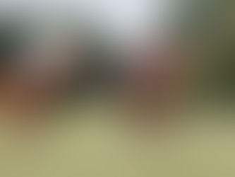 La trastienda del polo: los secretos del deporte más exclusivo