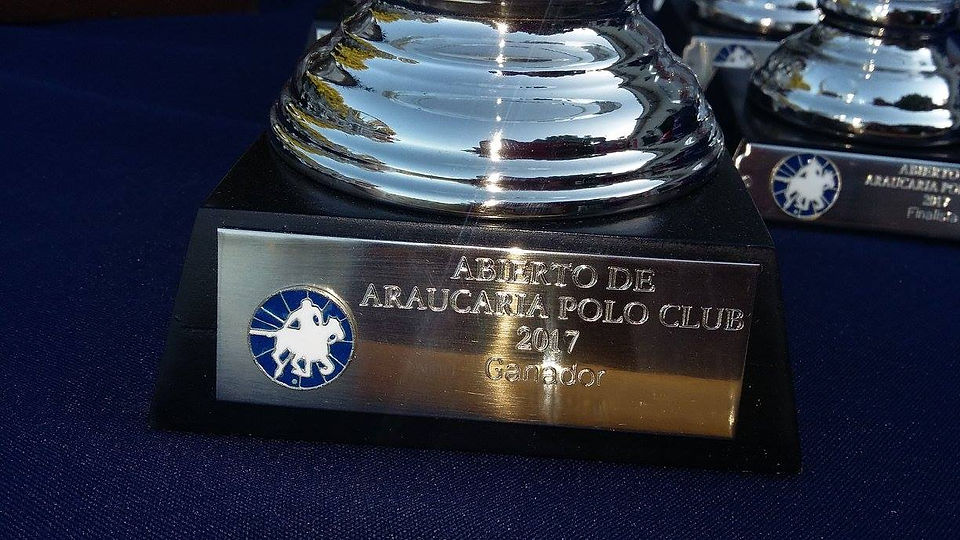 Araucaria-copa