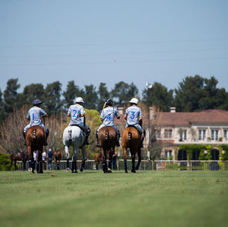 15 datos curiosos sobre TORTUGAS que quizás no conocías...