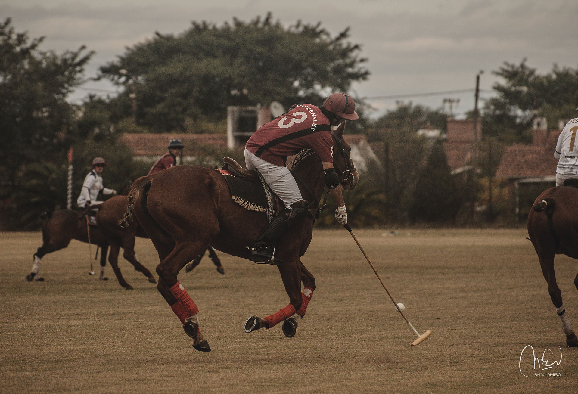 polo salta-70