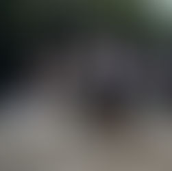 Gran expectativa por la 2da edición del City Bell Polo Tour Arena Experience