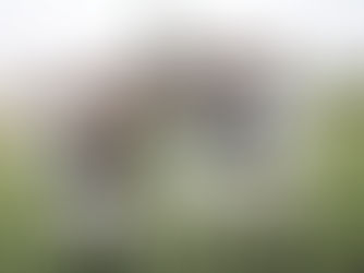 VIRGINIA UNITED POLO LEAGUE: con los torneos de agosto, concluyó la segunda temporada