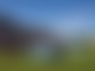 Volkswagen sigue presente junto al mejor polo del mundo