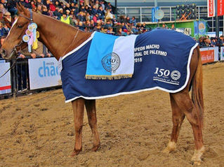 Variada actividad de Polo Argentino en La Rural