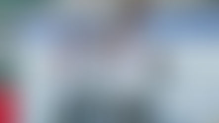 La Irenita II, de no entrar a Palermo a campeón de la Cámara de Diputados