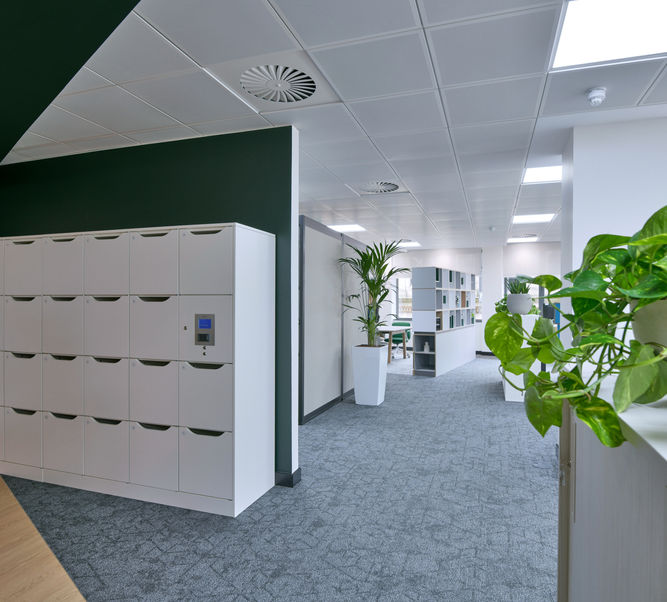 Tapibel, Econyl, Diamond Art