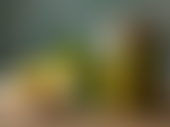 Why Choose Organic: The Truth About Pickles