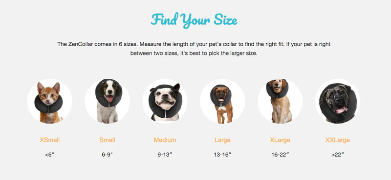 Zen inflatable collars.webp