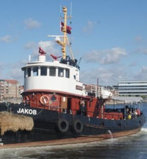 Askespredning Aarhus