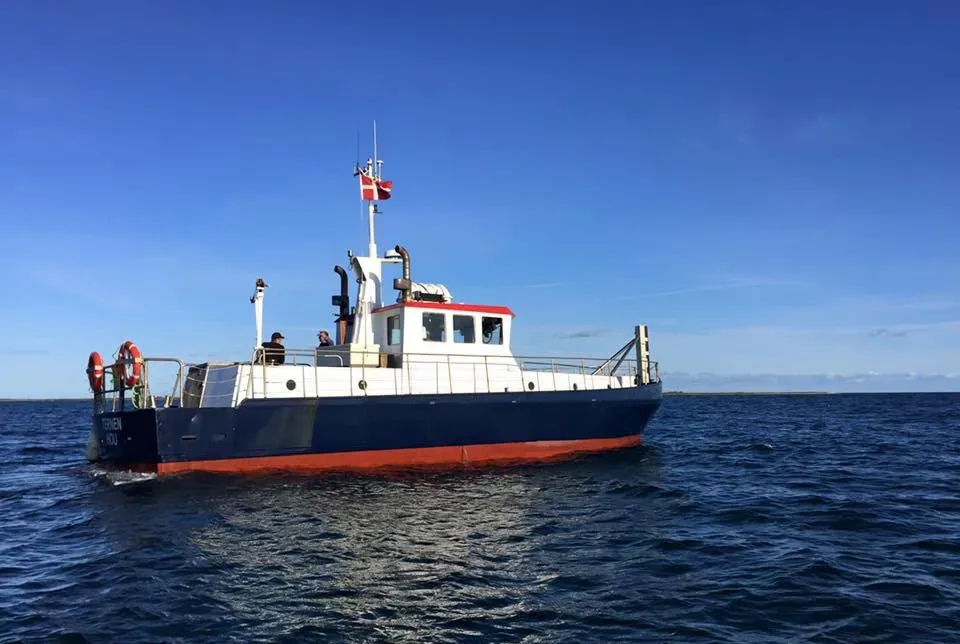 Askespredning fra Hou