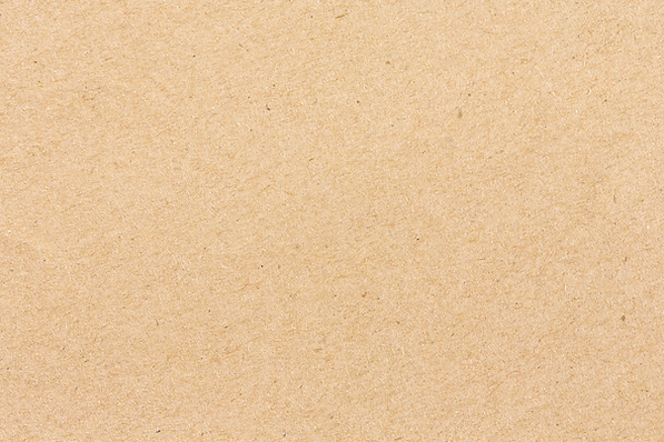 shutterstock_1609981405-low-re Webp.webp