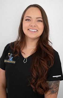 Arizona Animal Dentistry