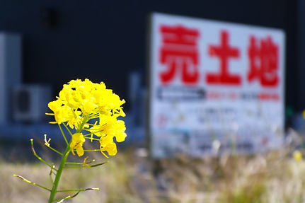 売土地