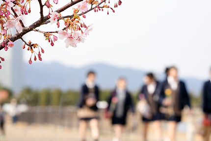 学校近くで便利な立地