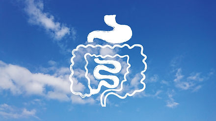 爽快な胃腸