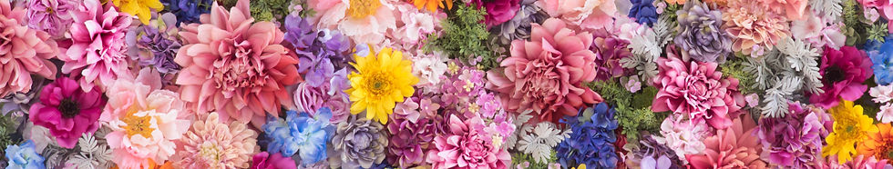 AdobeStock_142290090_edited.jpg