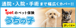 うちの子バナー