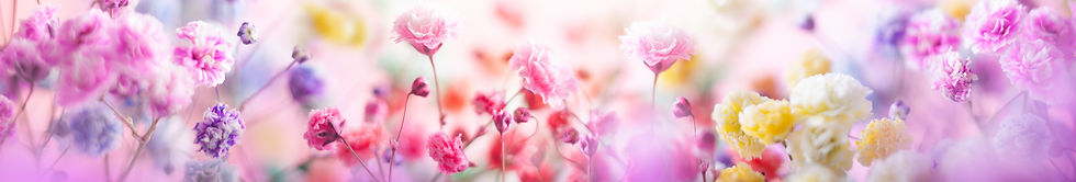 AdobeStock_314891648_edited.jpg