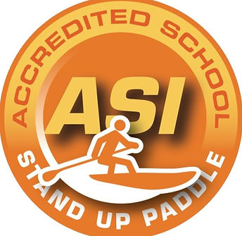 ASI School Logo_edited_edited.jpg