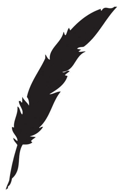 Black feather quill 