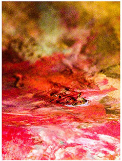 from-procreation-to-cocreation