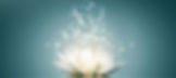 Clairvoyant and Psychic Techniques