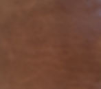 chestnut