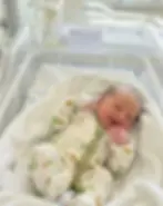 Macacão Longo Algodão Sustentável Estampa Dinossauros