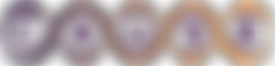 CAUSE Director Report