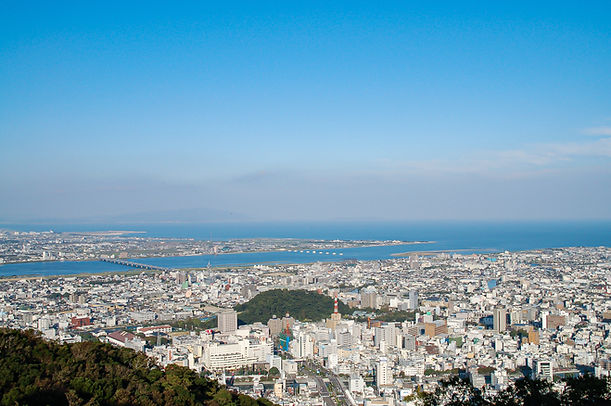 4395764_l.jpg