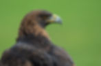 D79R7770.jpg