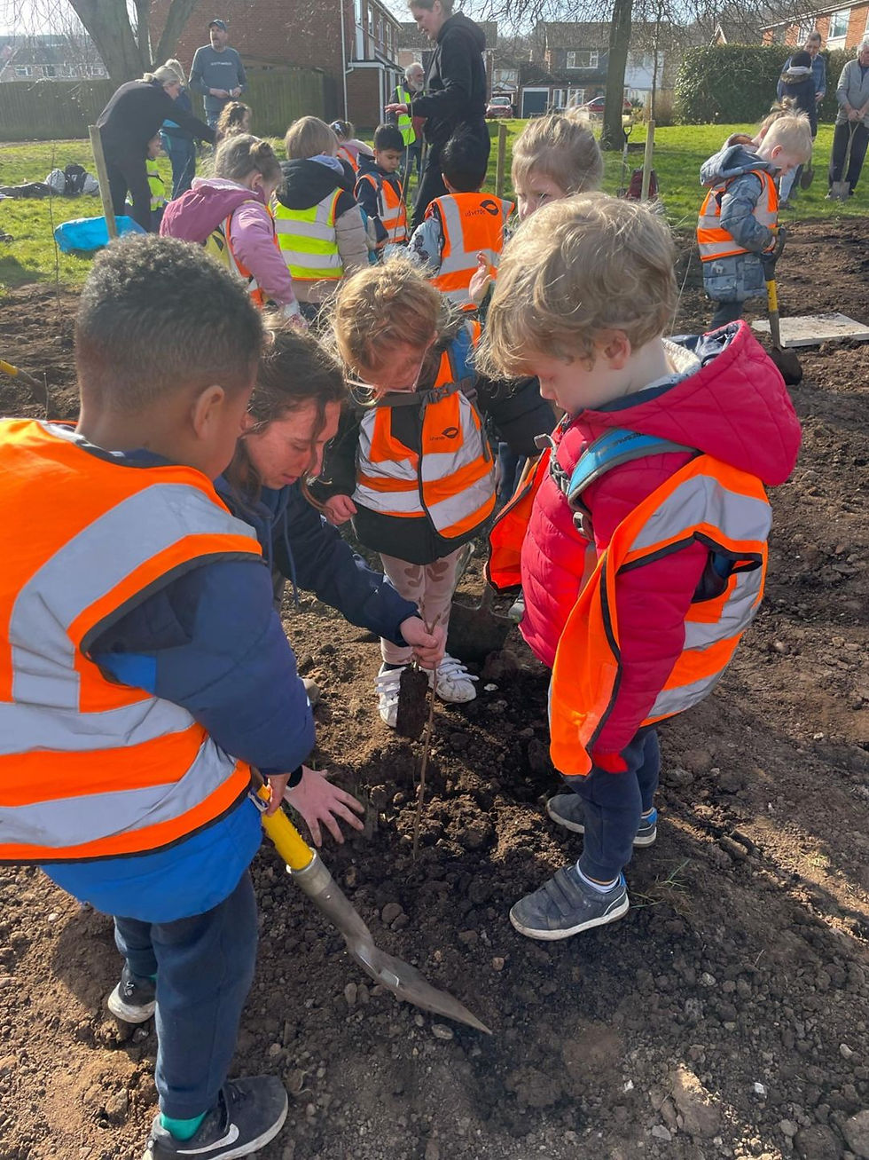 Planting the saplings