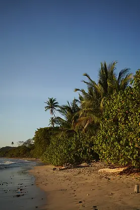 Screenshot_2024-05-19_at_13.27.51_480x480.webp
