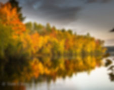 Northwoods Color