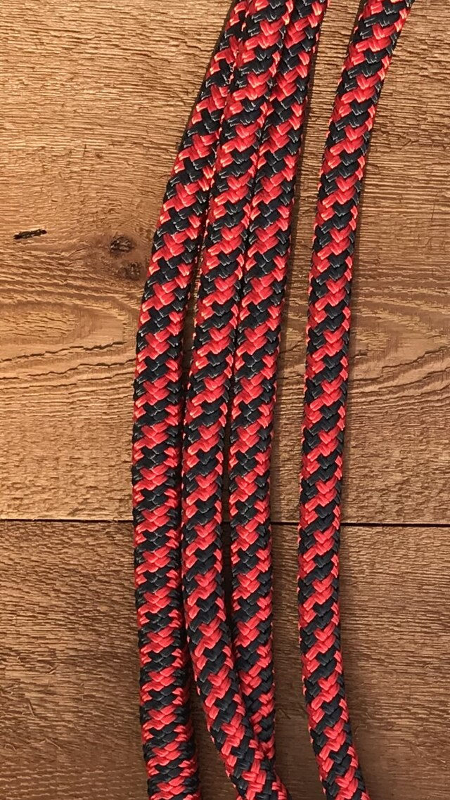 Thumbnail: Training Split Reins