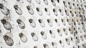 Close-up van een verweerde neonletter op de neon begraafplaats van Las Vegas. Fine art fotografie van Leon Bouwman. / Close-up of a weathered neon letter at the Las Vegas neon graveyard. Fine art photography by Leon Bouwman.