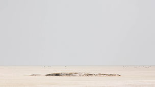 De verstilde, bleke zoutvlakte van de Etosha Pan in Namibië. Fine art fotografie van Leon Bouwman, voor serie Somewhere. | The silent, pale salt pan of Etosha in Namibia. Fine art photography by Leon Bouwman, for series Somewhere.