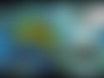 Ratas, Ratones, Rateros: Welcome to Ecuador