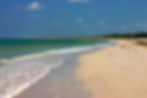 The shell strewn beach at Cayo Costa before anyone's walked on it today.jpg