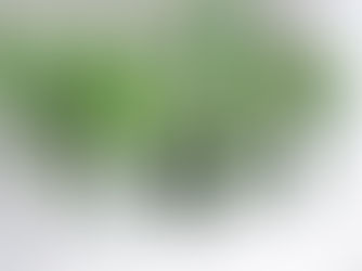 Diversity as a Growth Driver