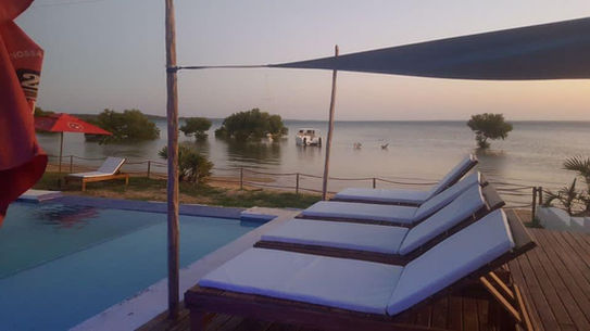 An infinity pool and lounge chairs at sunset