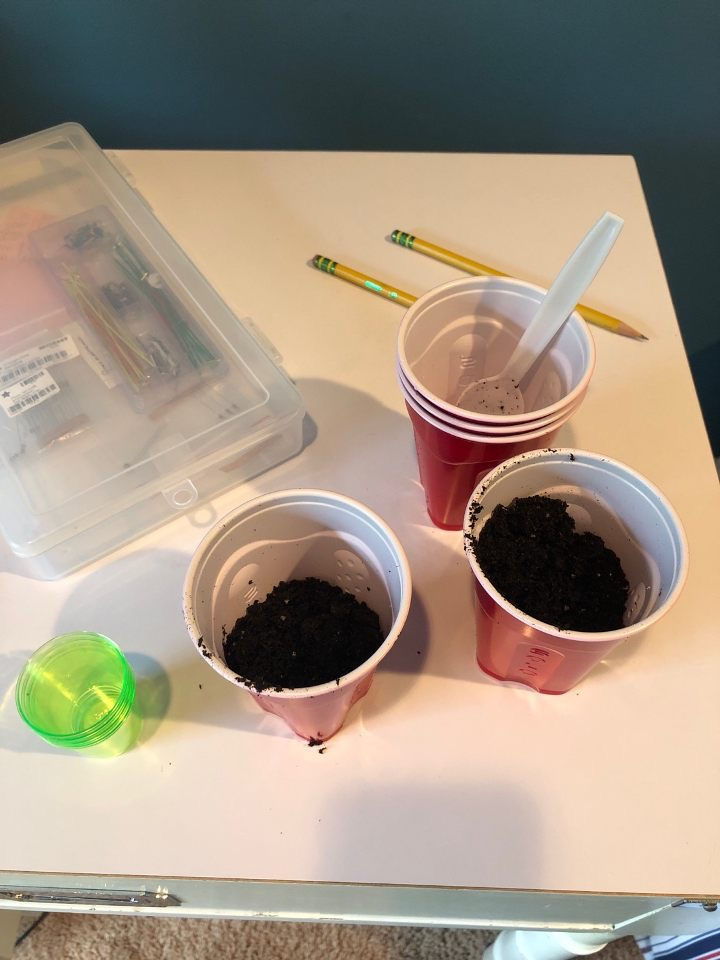 Week 7 Update