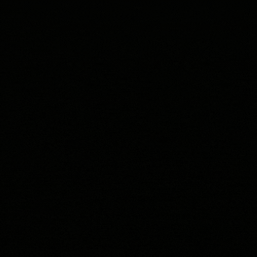 XSG - Animated Logo (1).gif