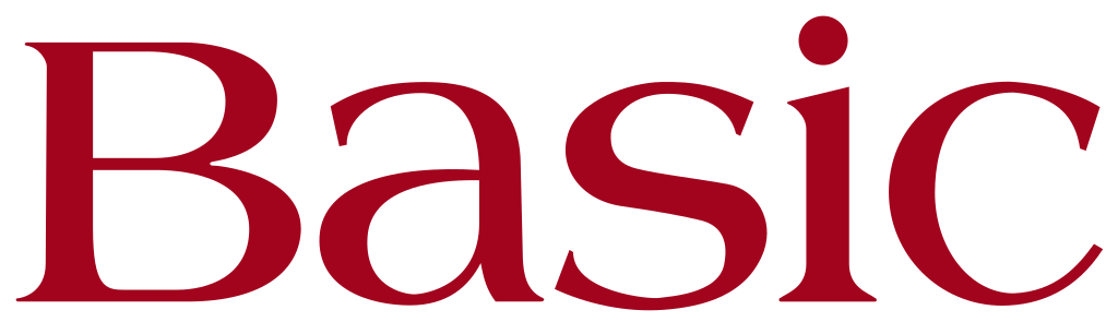 12 mois Yess-Fitness BASIC 599,-